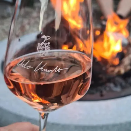 Weingut Knodt-trossen Apartment Krov