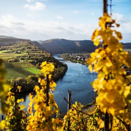 Apartamento Weingut Knodt-trossen Kröv