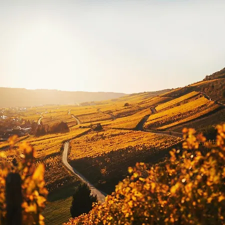 Weingut Knodt-trossen Apartamento *