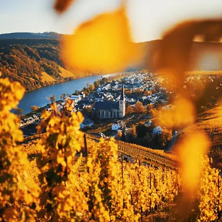 Weingut Knodt-trossen *