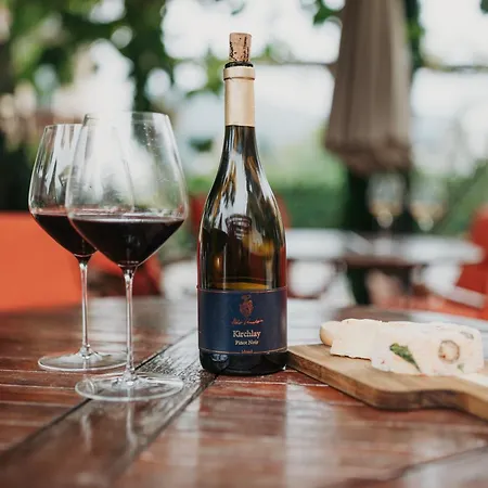 Weingut Knodt-trossen Appartement Kröv