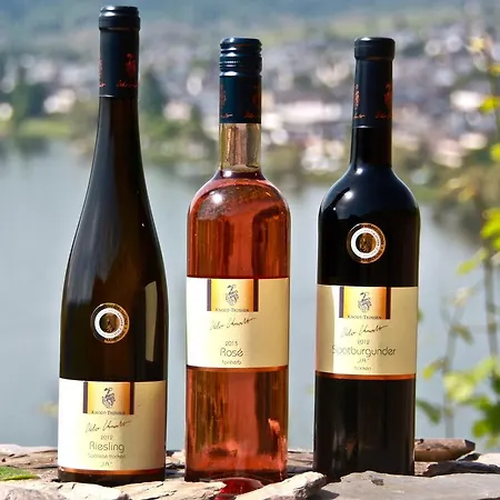 Weingut Knodt-trossen Apartment