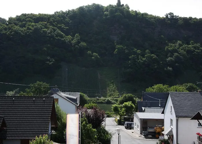 Weingut Knodt-trossen *