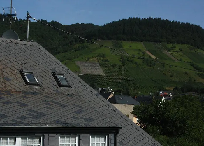 Weingut Knodt-trossen * Kröv