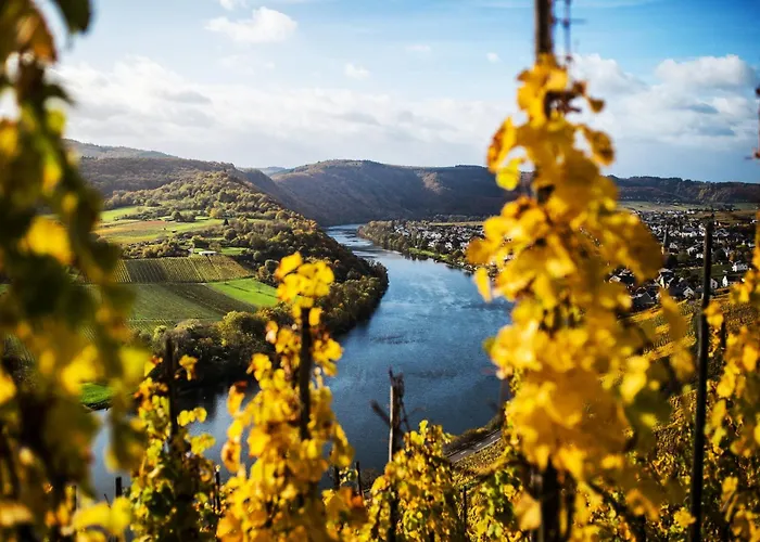 Lägenhet Weingut Knodt-trossen Kröv