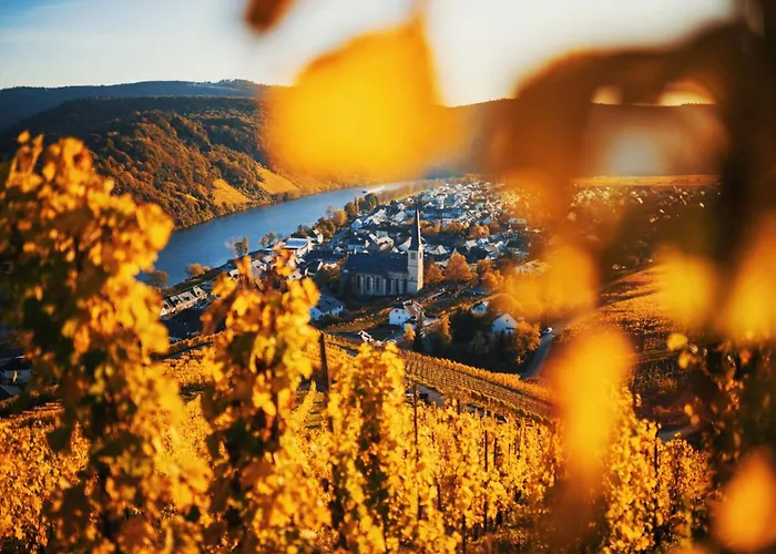 Weingut Knodt-trossen *