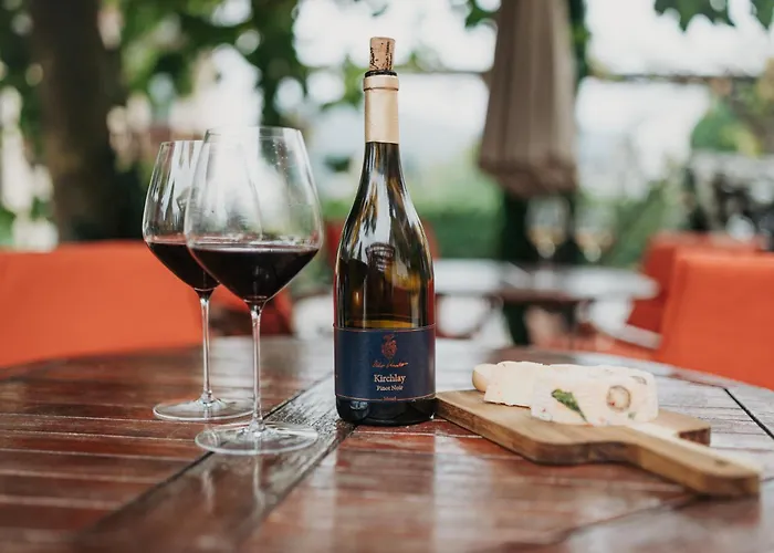 Weingut Knodt-trossen Lejlighed Kröv