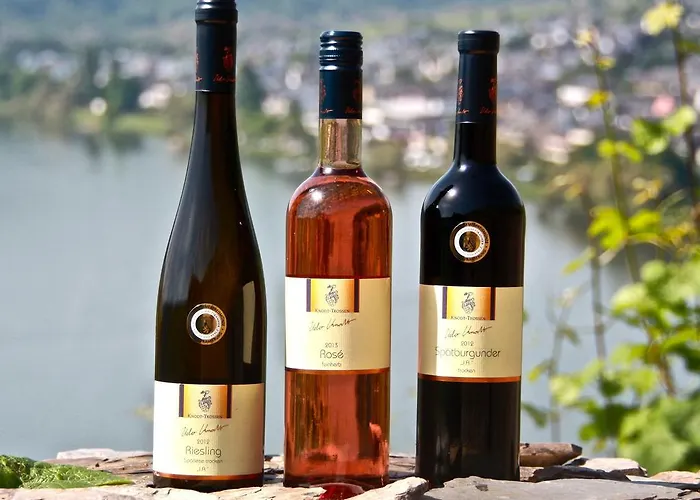 Weingut Knodt-trossen Lägenhet